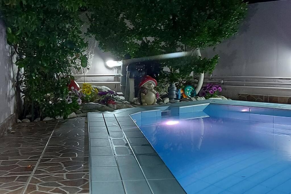 Violet Studio Με Πισίνα โวโลส ภายนอก รูปภาพ