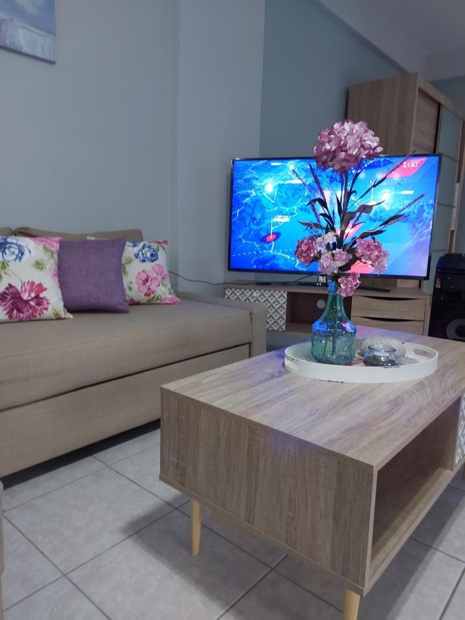 Violet Studio Με Πισίνα โวโลส ภายนอก รูปภาพ
